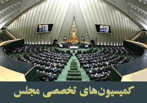 بررسی نحوه توزیع یارانه کالاهای اساسی در دستورکار کمیسیون‌های تخصصی مجلس