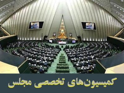 بررسی نحوه توزیع یارانه کالاهای اساسی در دستورکار کمیسیون‌های تخصصی مجلس
