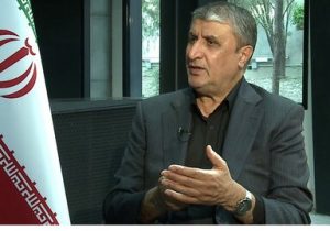 جزئیاتی از دور جدید مذاکرات از زبان رئیس سازمان انرژی اتمی