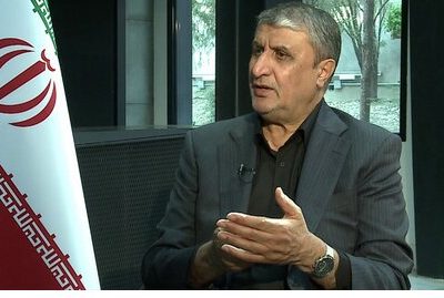 جزئیاتی از دور جدید مذاکرات از زبان رئیس سازمان انرژی اتمی
