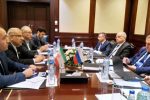 مذاکرات فشرده وزیر نفت در قاهره/ از تجارت گاز تا صادرات فرآوردههای نفتی