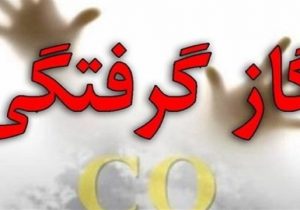 گاز گرفتگی در مخزن قیردر شهرک صنعتی سجزی