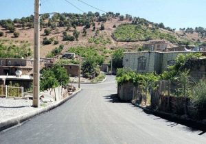 بازنگری طرح هادی در۱۰۰ روستای استان بوشهرطی سال جاری