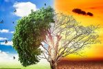 گذار کم‏‏‏‏‌کربن از سوخت‏‏‏‏‌های فسیلی