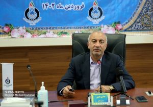 ایران جزو ۷ کشور برتر جهان در تولید کک اسفنجی