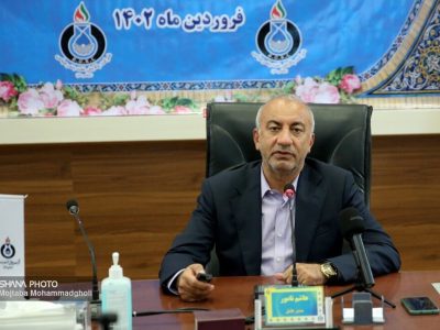 ایران جزو ۷ کشور برتر جهان در تولید کک اسفنجی