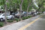 سرتاسر خیابان احمدآباد جدولگذاری و آسفالت میشود