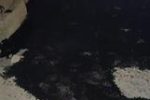 ادامه روند لکه گیری و مرمت آسفالت معابر اصلی و فرعی سطح منطقه 3