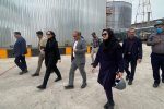 بازدید رئیس مرکز تحقیقات راه، مسکن و شهرسازی از واحدهای دانشبنیان تولیدکننده قیر در هرمزگان