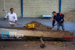 ۱۵۰۰ تن قیر جهت بهسازی راههای روستایی شیروان