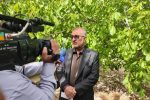 استاندار کهگیلویه و بویراحمد: ۳۲ پروژه عمرانی در شهرستان چرام فعال است