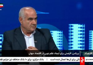 استفاده از امکانات بریکس نیازمند استفاده از ارزهای ملی است | وجود ظرفیتهای گسترده تجاری در چارچوب بریکس